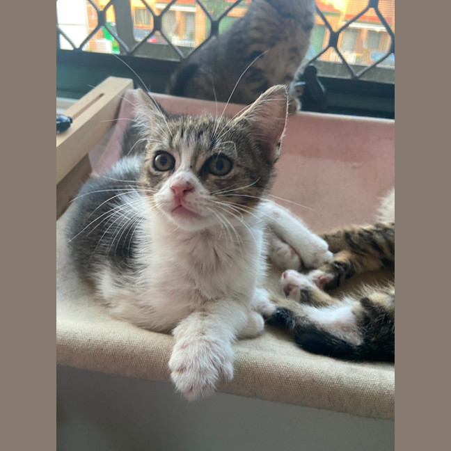 Photo of Ginny (Weasley) Of Harry Potter Fame