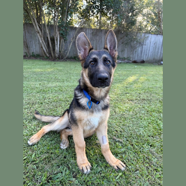 Photo of Grady