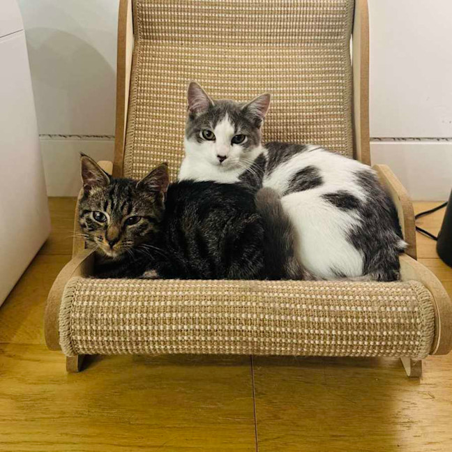 Photo of Beans   Located In Northcote