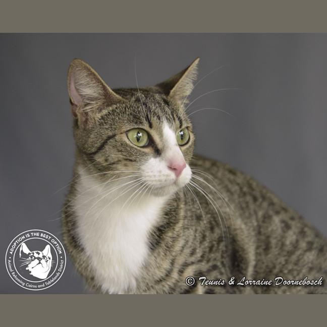 Photo of Dolly Parton