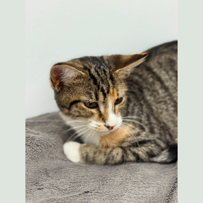 Photo of Gretel