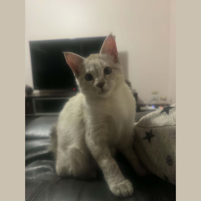 Photo of Rowena