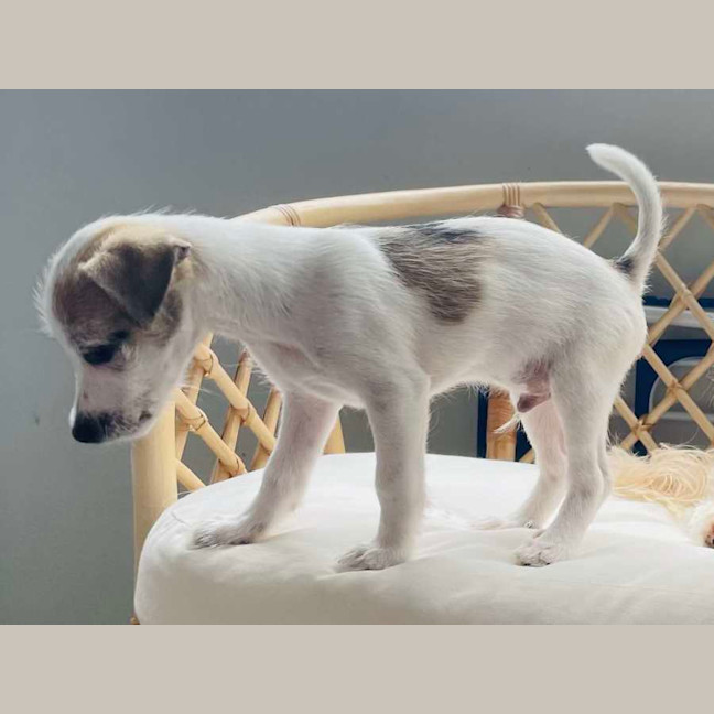 Photo of Marley Muddle