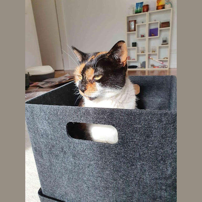 Photo of Queen Mimmi