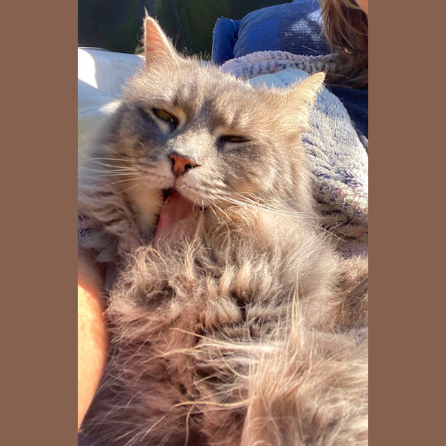 Photo of Stormy
