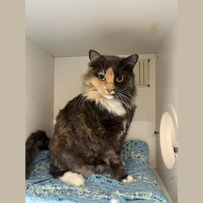 Photo of Madeline