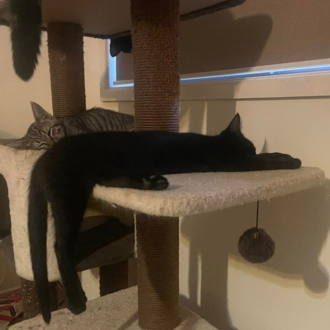 Photo of Purretha Franklin