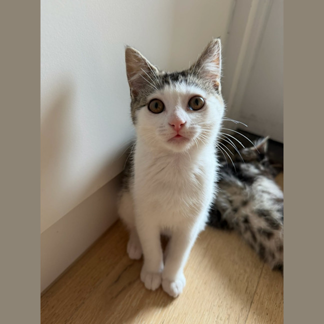 Photo of Sugar 🍬