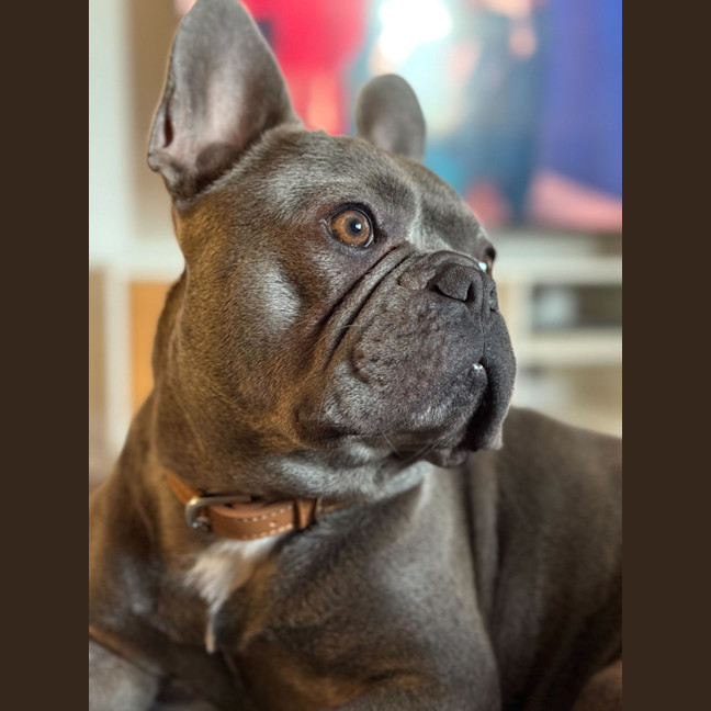 Photo of Blue