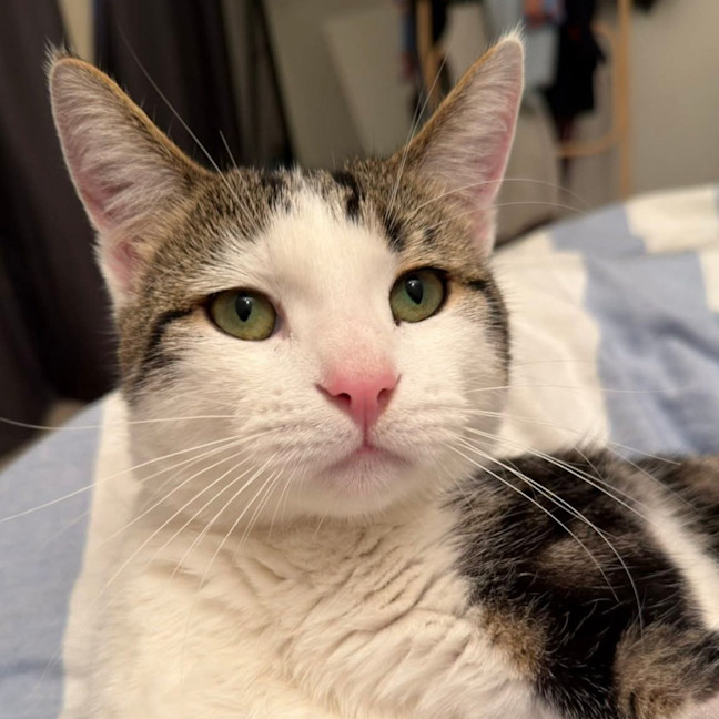 Photo of Bobby