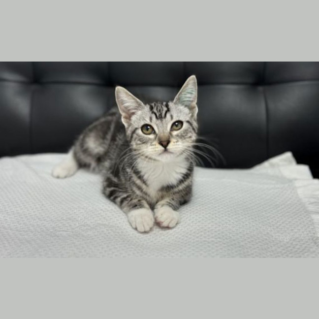 Photo of Crystal