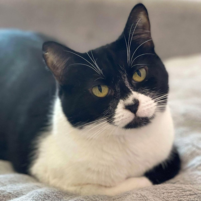 Photo of 10867   Inez 