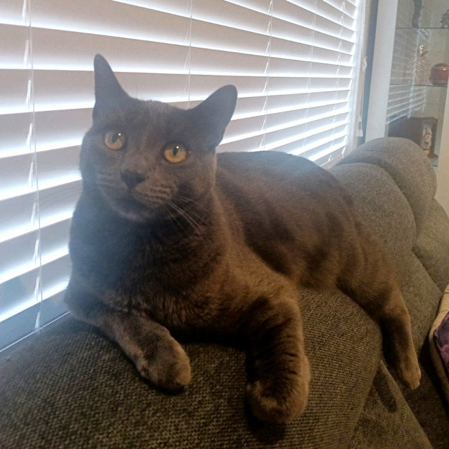 Photo of Lenny