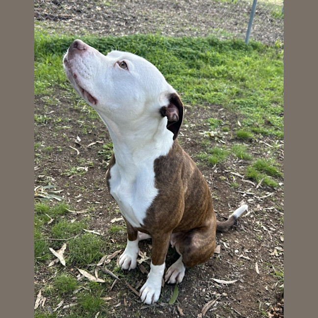 Photo of Ruby