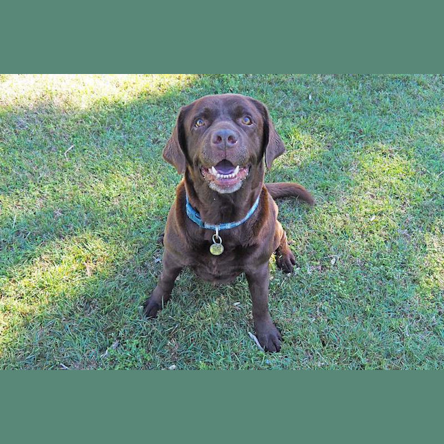 Photo of Coco