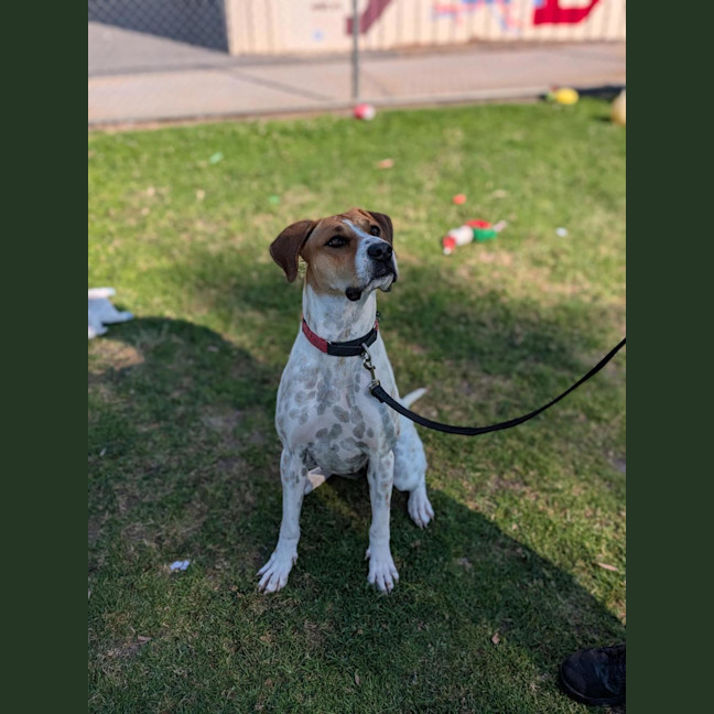 Photo of Marnie