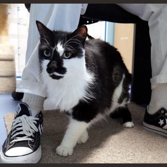 Photo of Charlie Sta013211