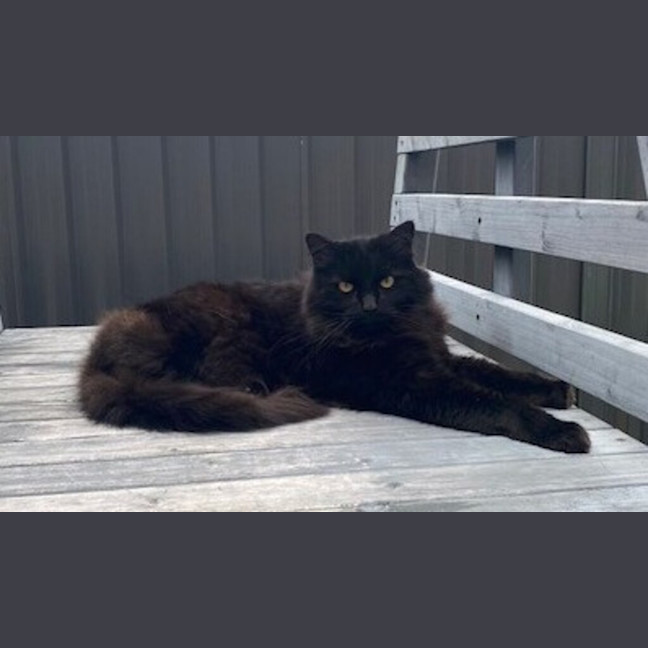 Photo of Wendell