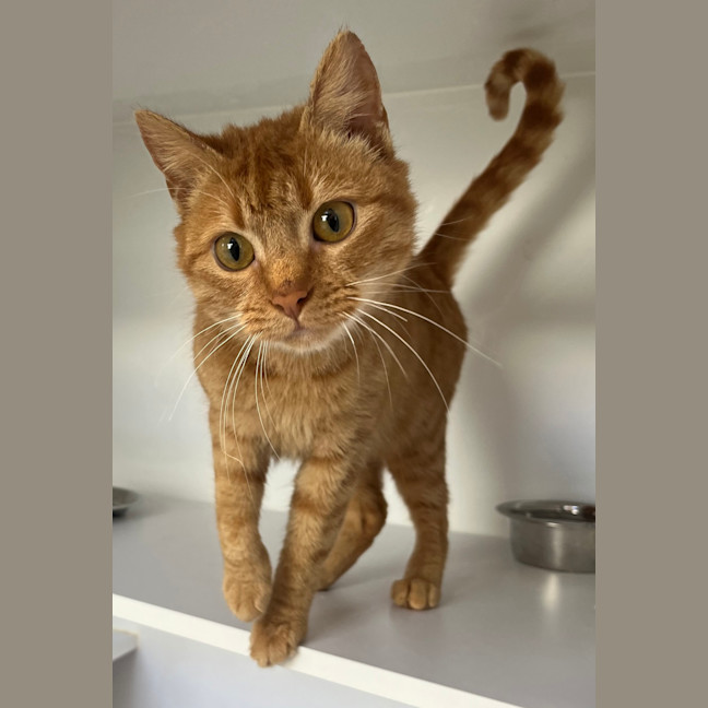 Photo of Chappell Roan