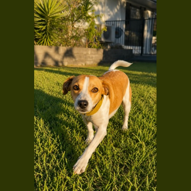 Photo of Bailee