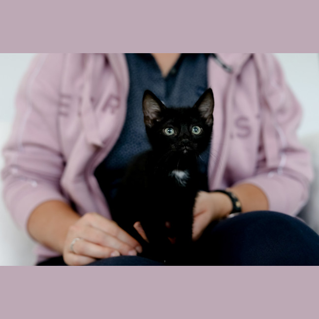 Photo of Bandit
