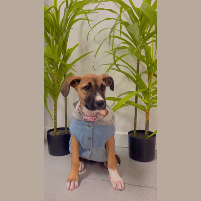 Photo of Amelia