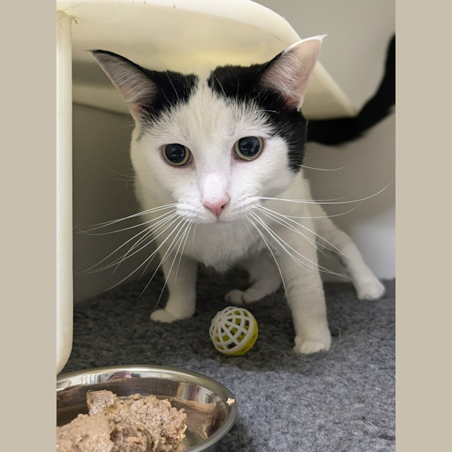 Photo of ☕ Lorraine (Lori) 5739 ☕