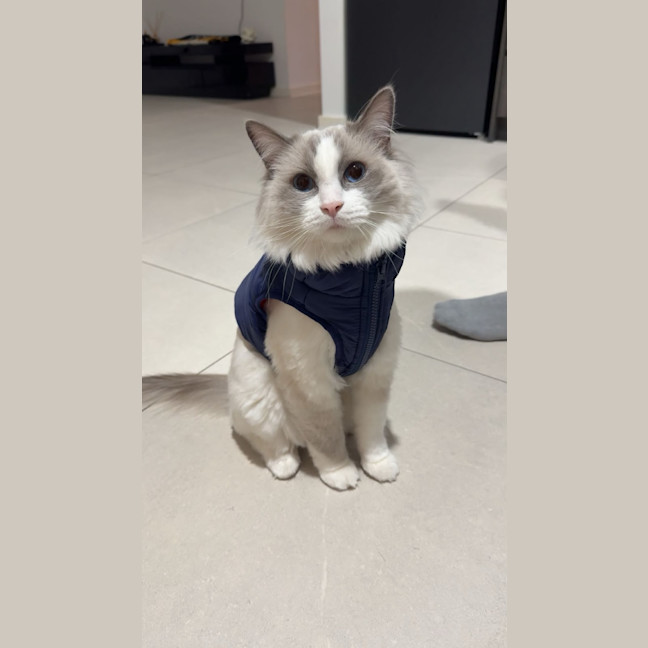 Photo of Bibble