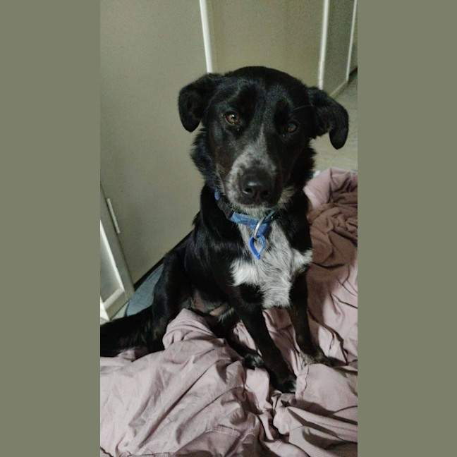 Photo of Betty