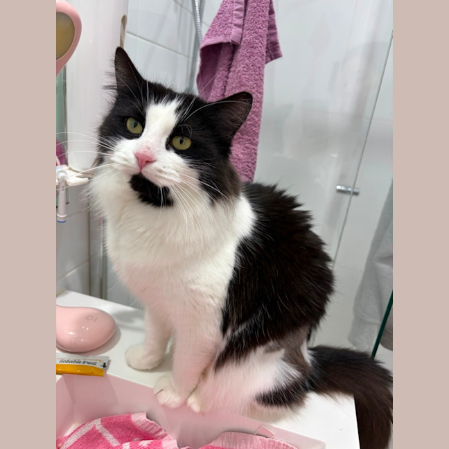 Photo of Milky