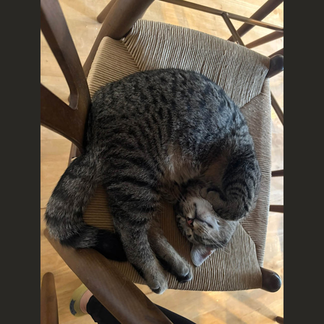 Photo of Boris