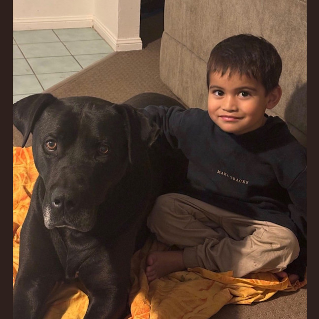 Photo of Scooby *$150 Adoption Fee*