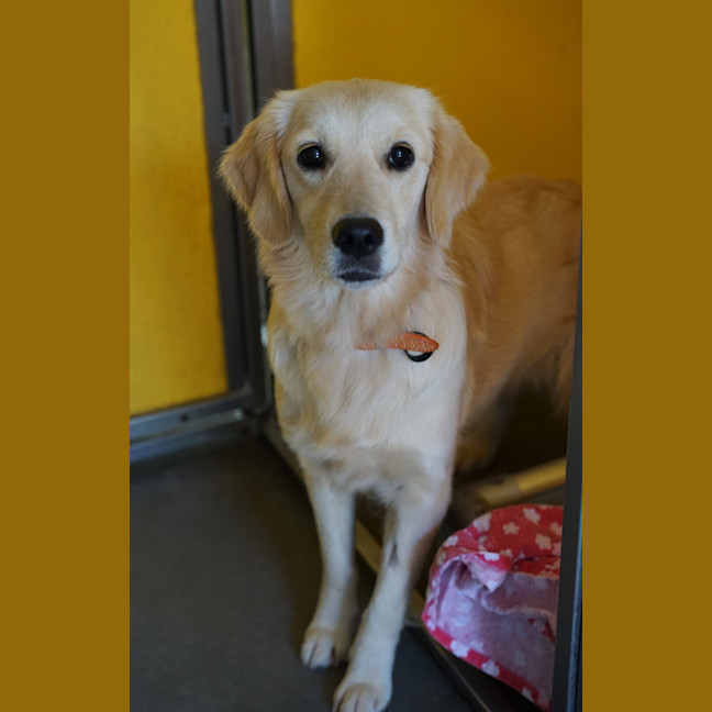 Photo of Lola