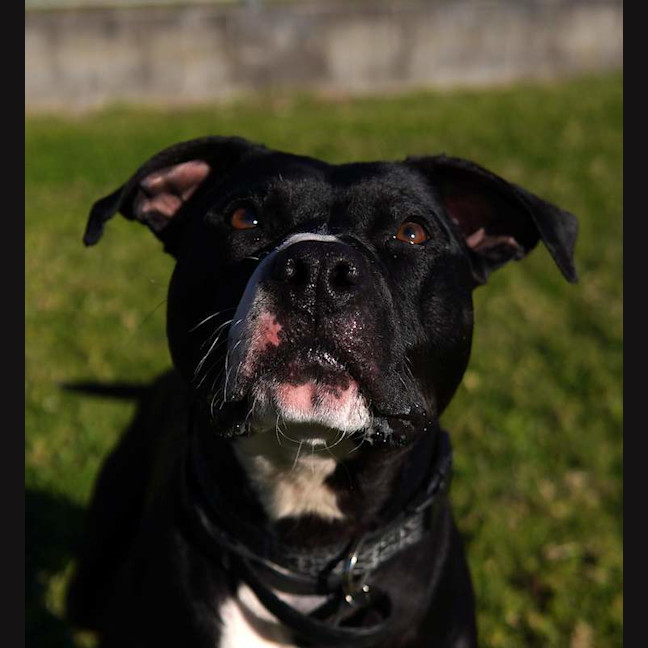 Photo of Rogan