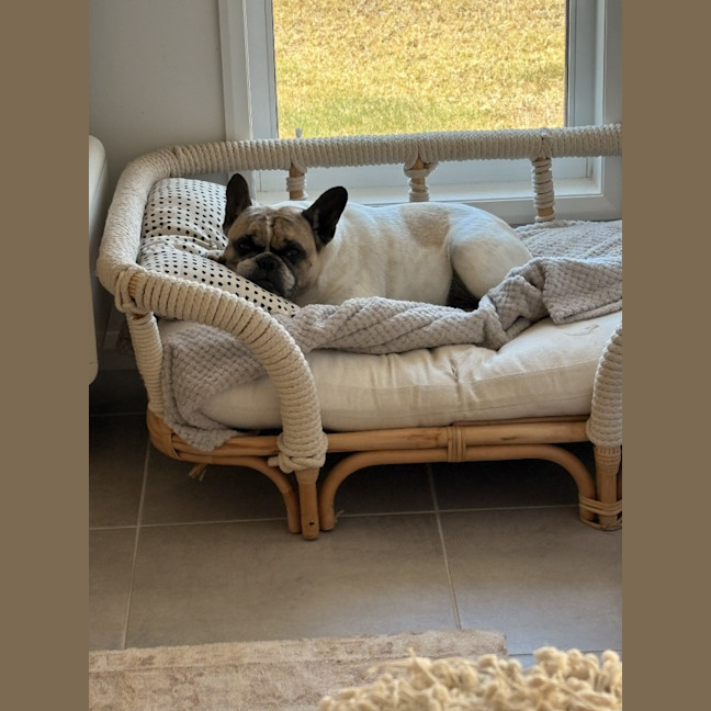 Photo of Lola