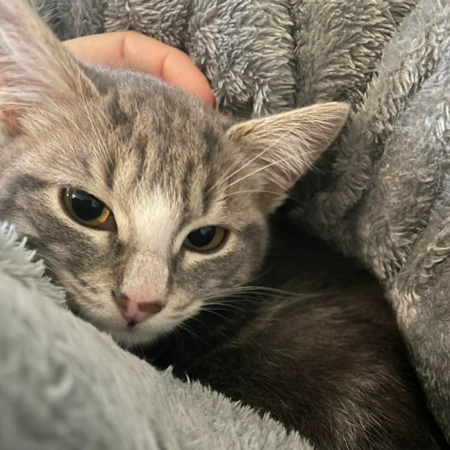 Photo of Matilda