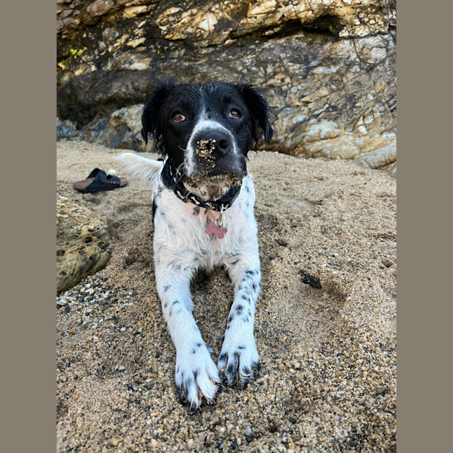 Photo of Lilly