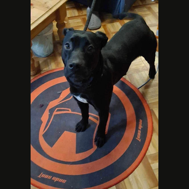 Photo of Max