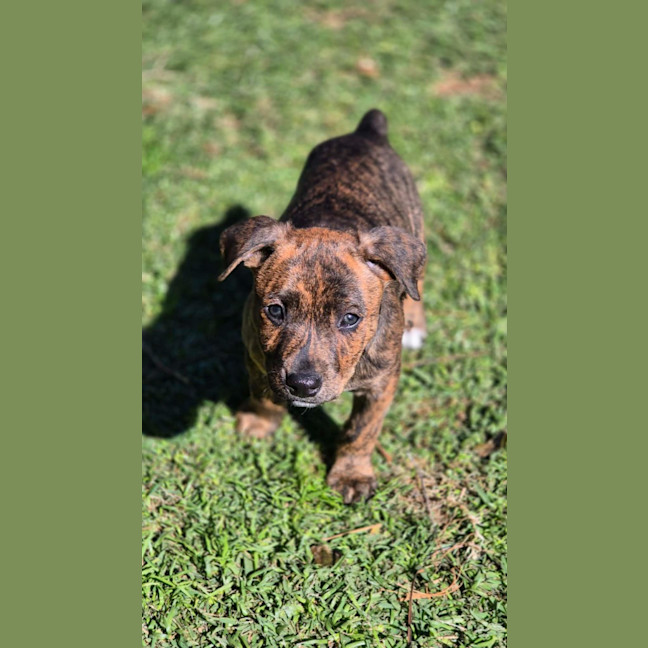 Photo of Spice