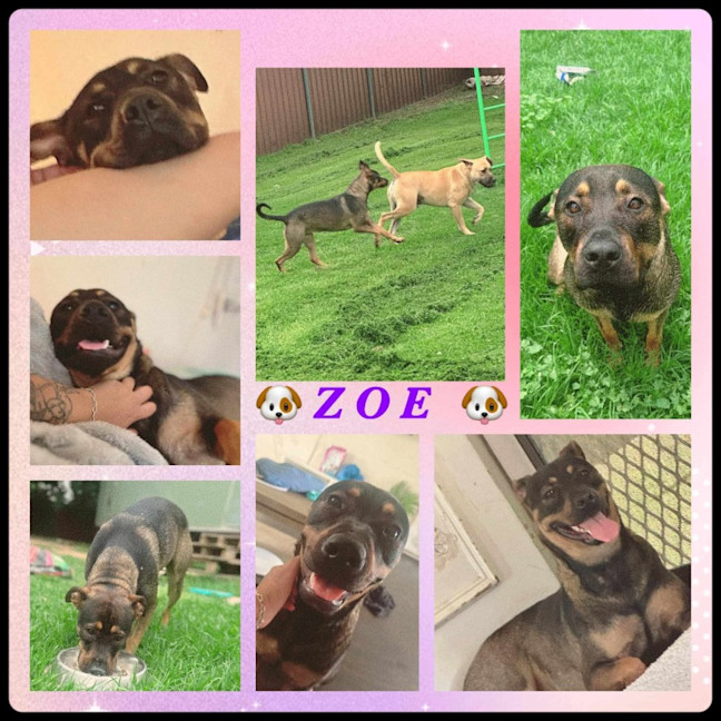 Photo of Zoe