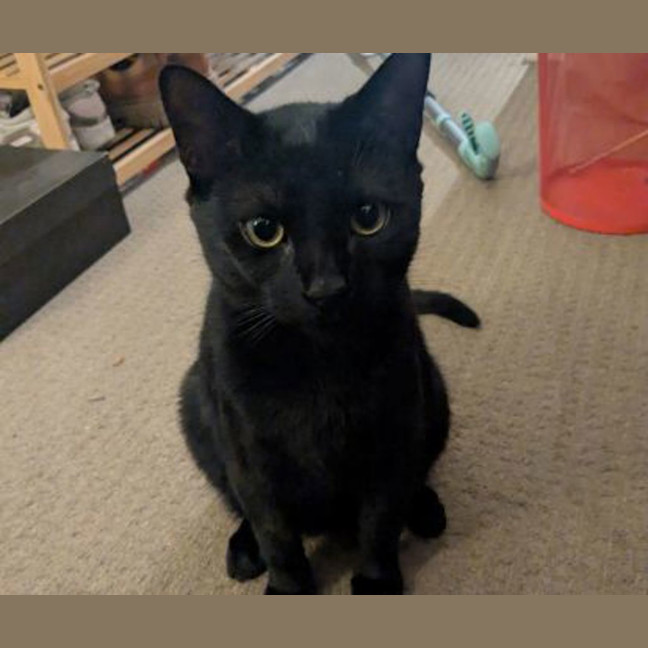 Photo of Phineas