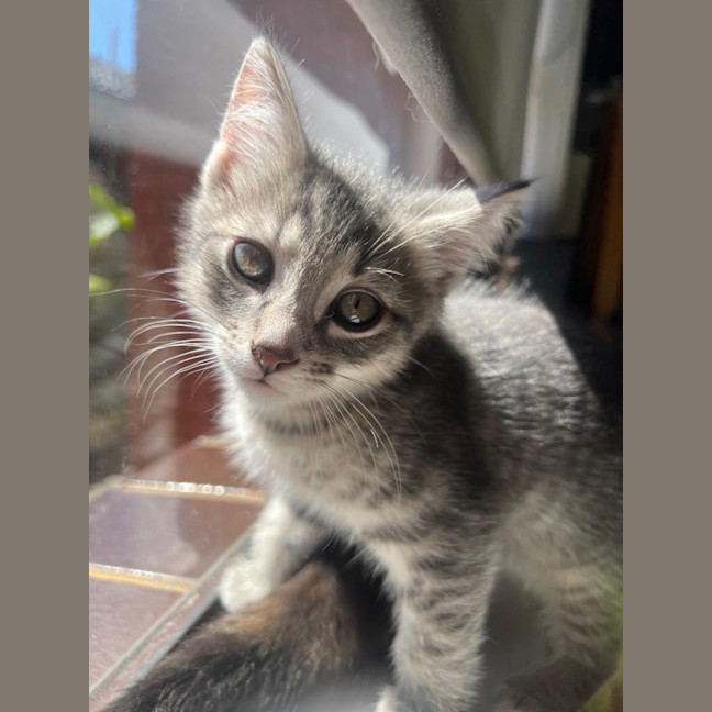 Photo of Roll