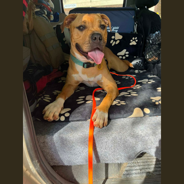 Photo of Zuko
