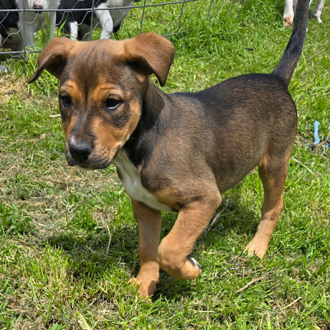 Photo of Princess Bubblegum