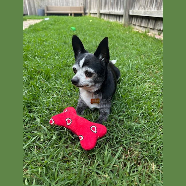 Photo of Bonnie Parker & Clyde Barrow