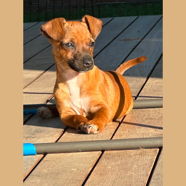Photo of Mimi