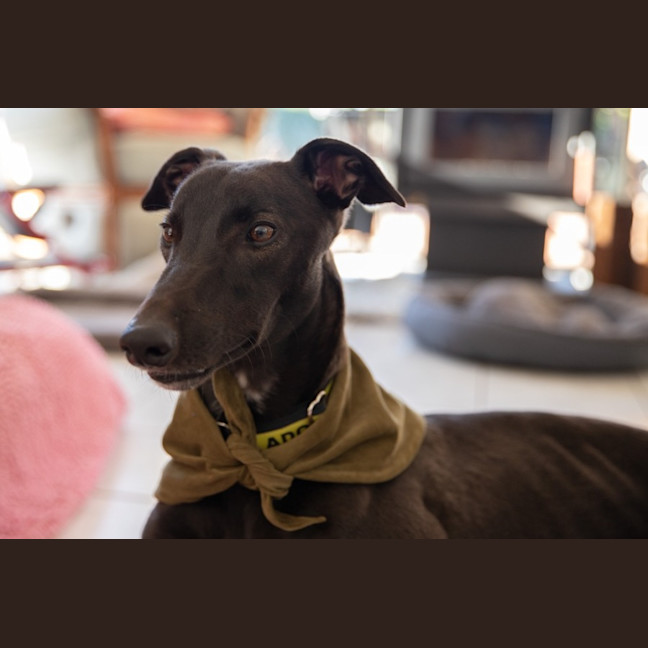 Photo of Pete