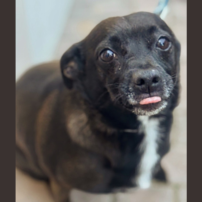 Photo of Jeff (Was Jet)