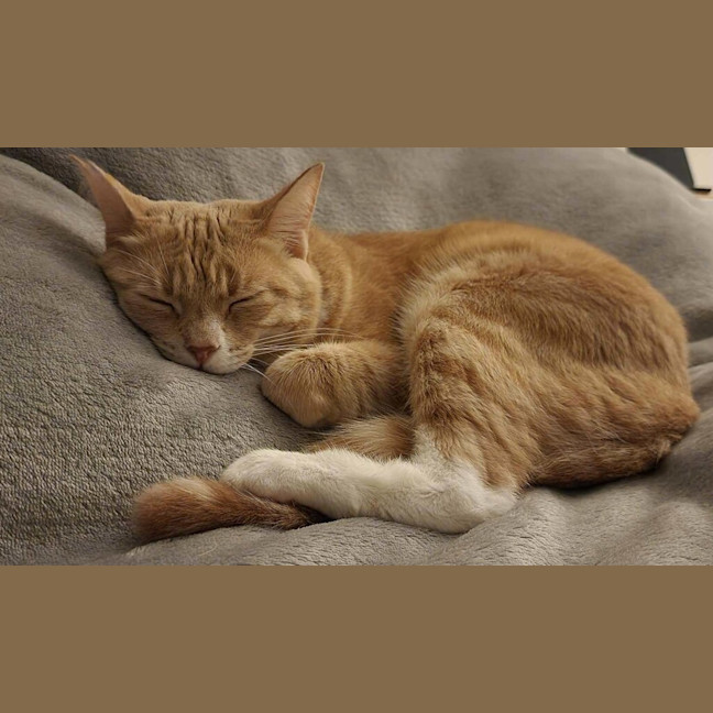 Photo of Cali