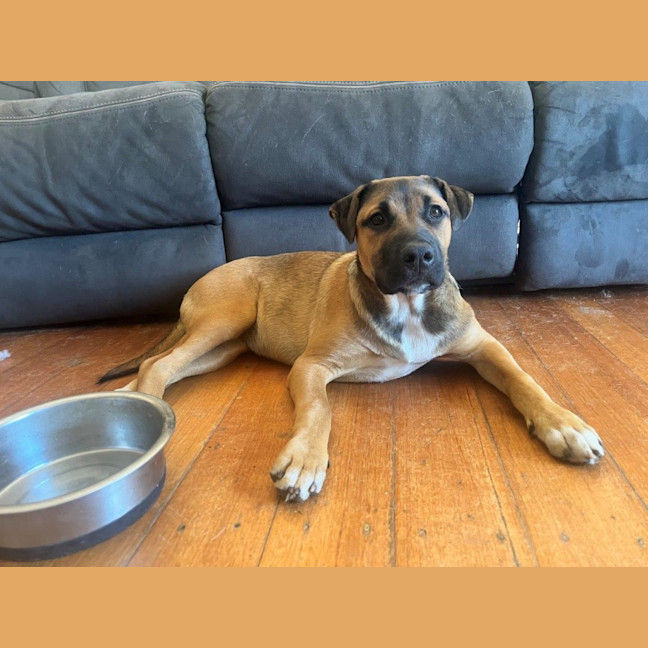 Photo of Star Kumara